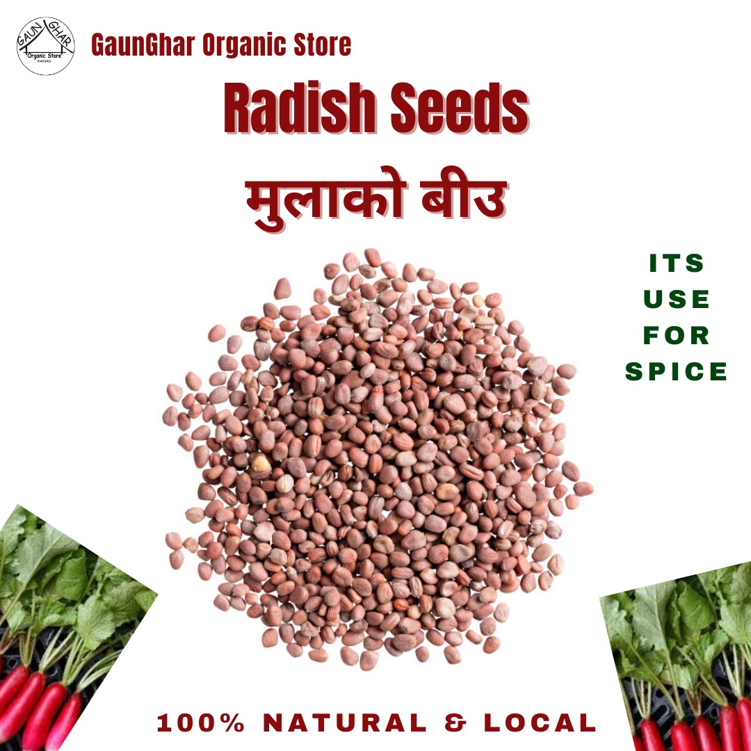 Radish Seed ( Mula Ko Biu) 100 gm